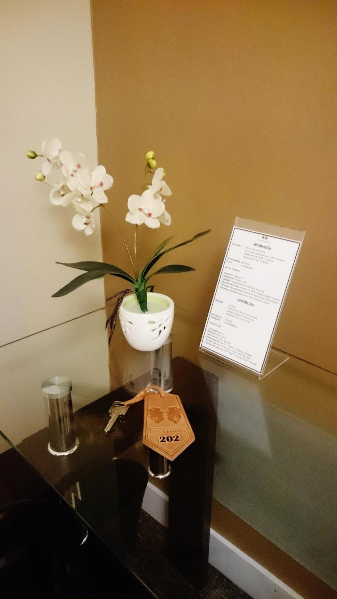 狮子精品酒店 Yanahuara 客房 照片